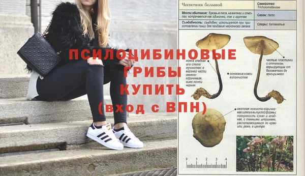 ешки Верея