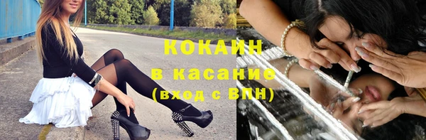 первитин Богданович