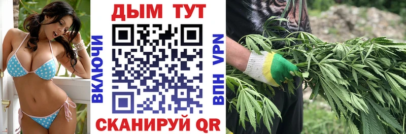 Купить где  Можга  Шишки марихуана сатива 